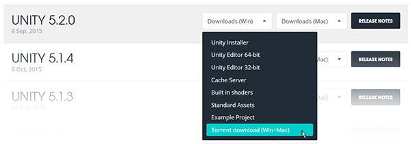Unity Torrent Download